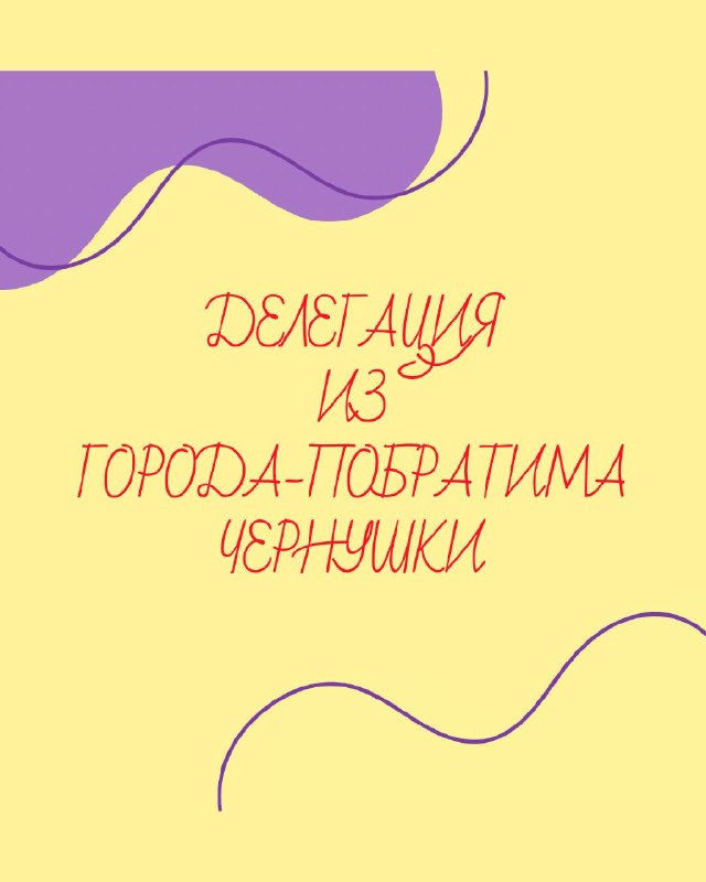 Делегация из города-побратима Чернушки